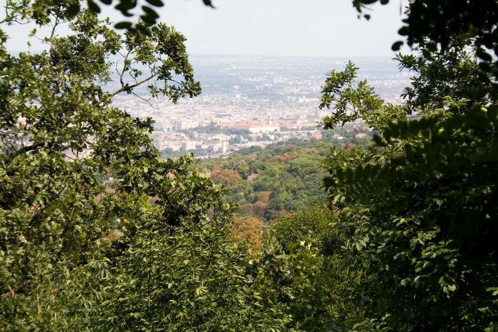 Budapest, on the hills and forests overlooking the city (