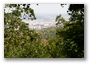 Budapest, on the hills and forests overlooking the city (
