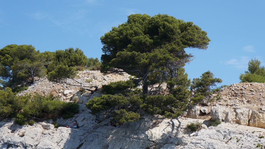 Calanques 