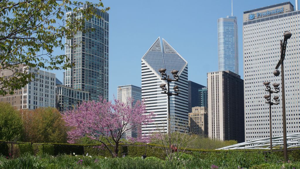 Michigan Avenue Skyline from the Lurie Garden, Millenium Park, Chicago Loop