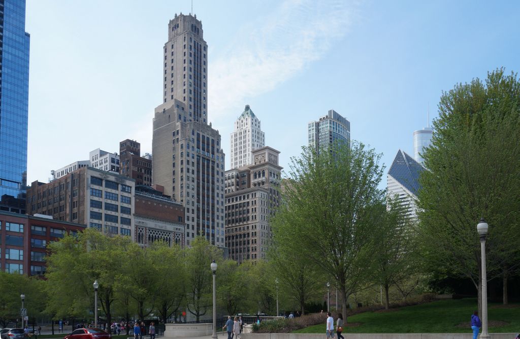 Michigan Avenue Skyline from the Lurie Garden, Millenium Park, Chicago Loop