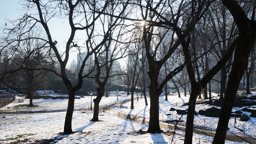 View from Central Park, Early morning in February, New York