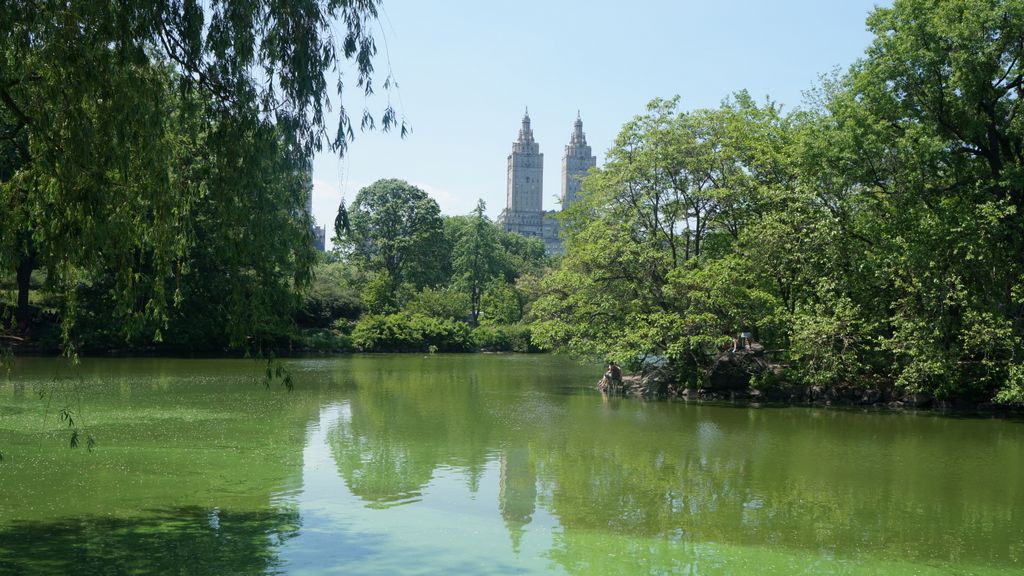 In Central Park, New York
