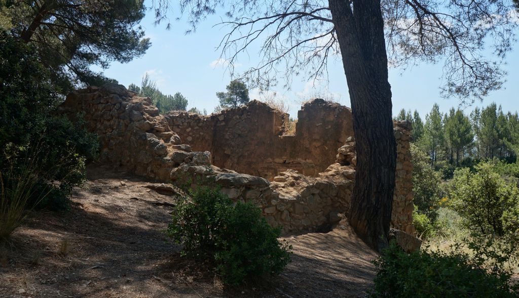 Forest around the St. Victoire, Aix-en-Provence