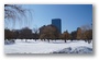 Public Gardens, Boston, on a beautiful late winter day