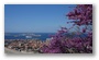 Spring Colours in Marseille (view from the Basilique 