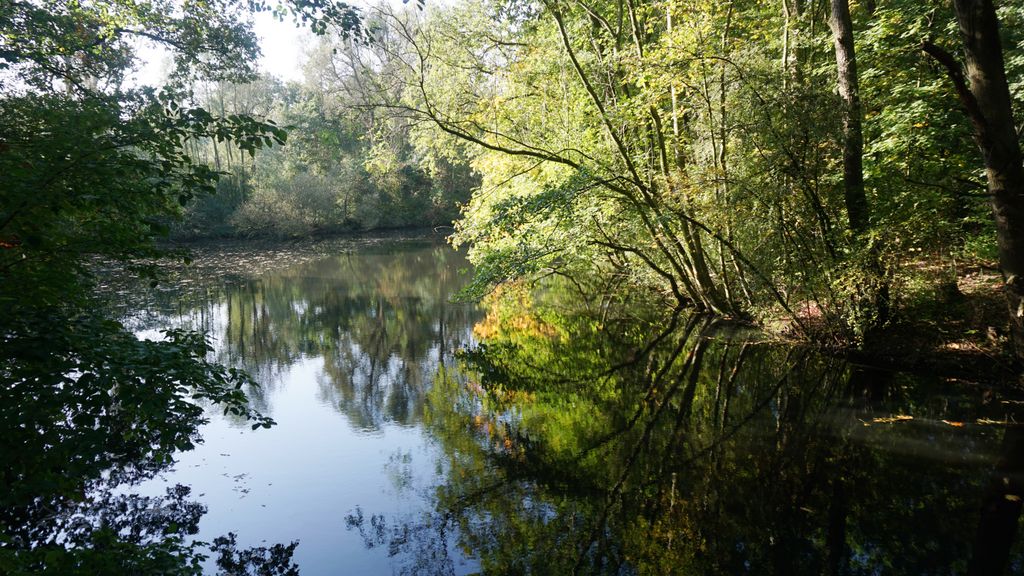 Amsterdamse Bos, a forest nearby Amstelveen