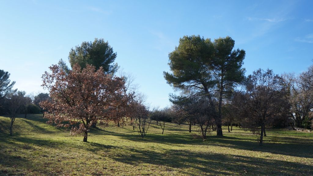 The Plateau of Entremont, Aix-en-Provence