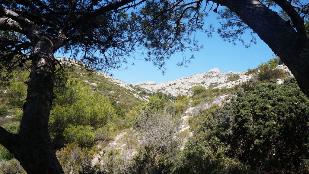 Calanques de Callelongue, at the extreme Eastern side of Marseille