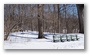 Arnold Arboretum, Boston, on a beautiful winter day