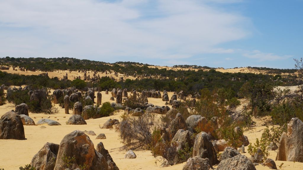 The Pinnacles, Nambung National Park, north of Perth