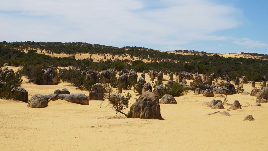 The Pinnacles, Nambung National Park, north of Perth