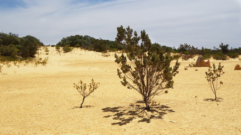 The Pinnacles, Nambung National Park, north of Perth