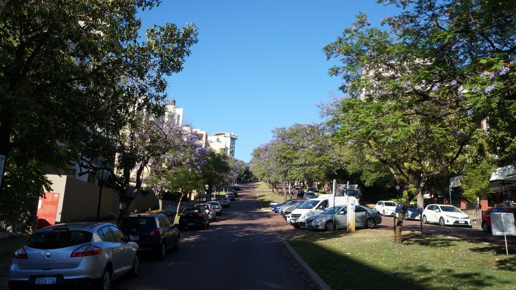 Mount Street, Perth