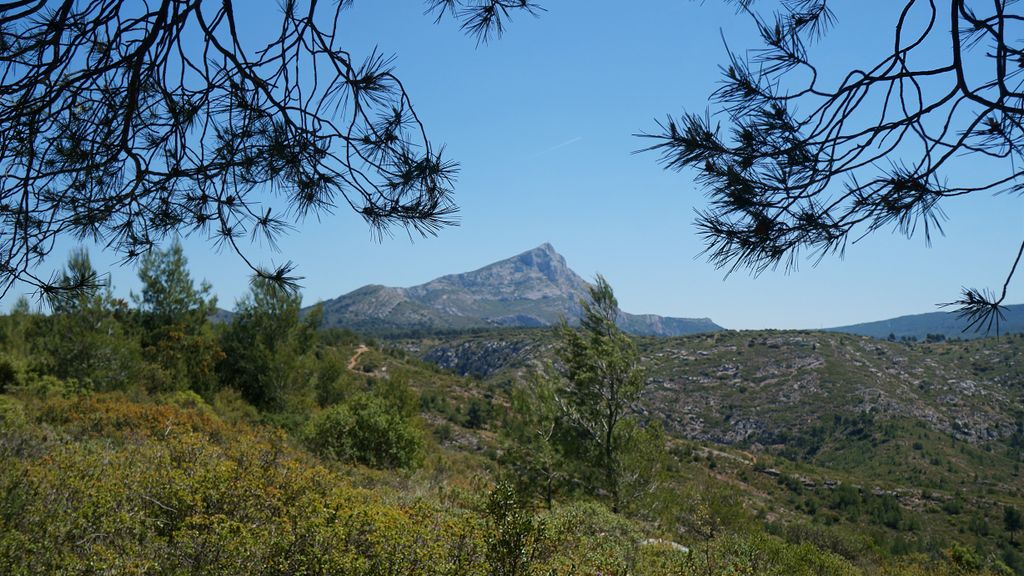 Photo: In the forest on the side of the St Victoire, Aix-en-Provence