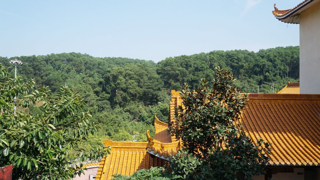 Hongfa Si Temple, Fairly Lake Botanical Garden, Shenzhen, China