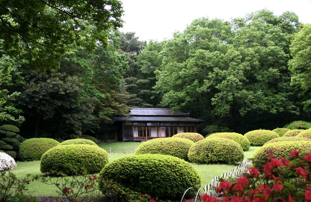 Menji gardens, in the Menji park