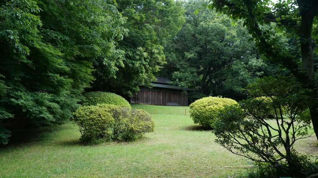 Meiji Shrine Inner Garden, Tokyo, Japan